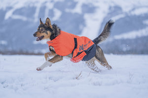 Non-Stop Dogwear Long Distance + Jacket