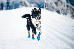 Non-Stop Dogwear Long Distance Bootie