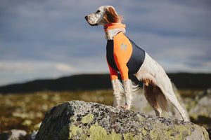 Non-Stop Dogwear Protector T-Shirt