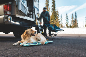 Ruffwear Basecamp Bed