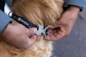 Ruffwear Top Rope Collar