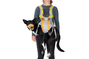 Ruffwear BackTrak Dog Evacuation Kit