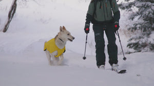 Ruffwear Vert Jacket