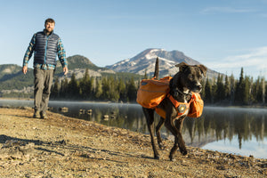 Ruffwear Approach Pack - USED GEAR - FINAL SALE