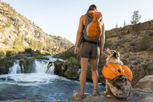 Ruffwear Approach Pack - USED GEAR - FINAL SALE