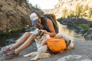 Ruffwear Approach Pack - USED GEAR - FINAL SALE