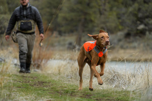 Ruffwear Track Jacket - Final Sale*