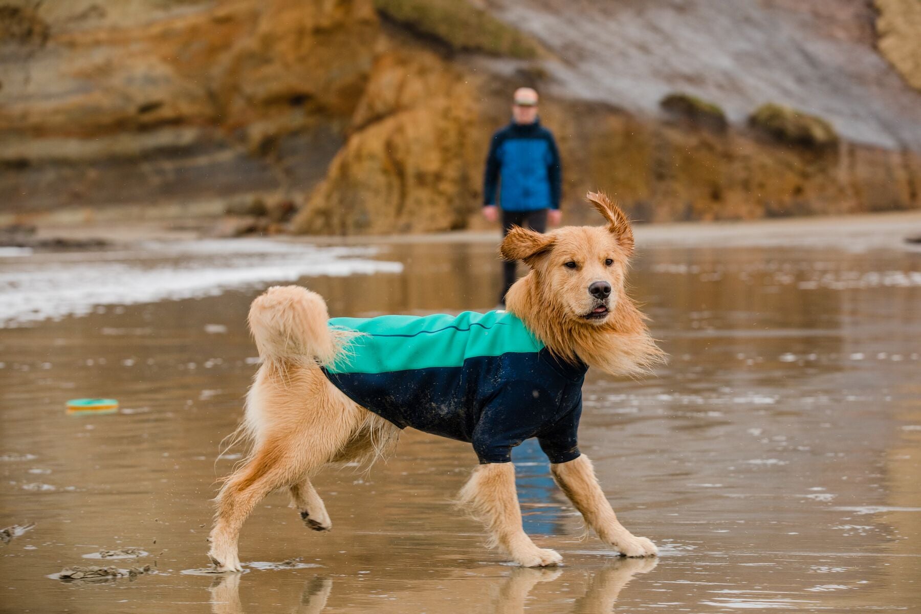 Dog water jacket hotsell