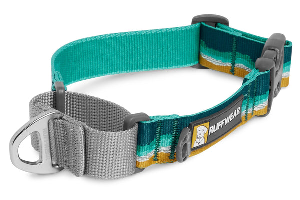 Ruffwear Web Reaction Martingale Dog Collar See SAWYER Run